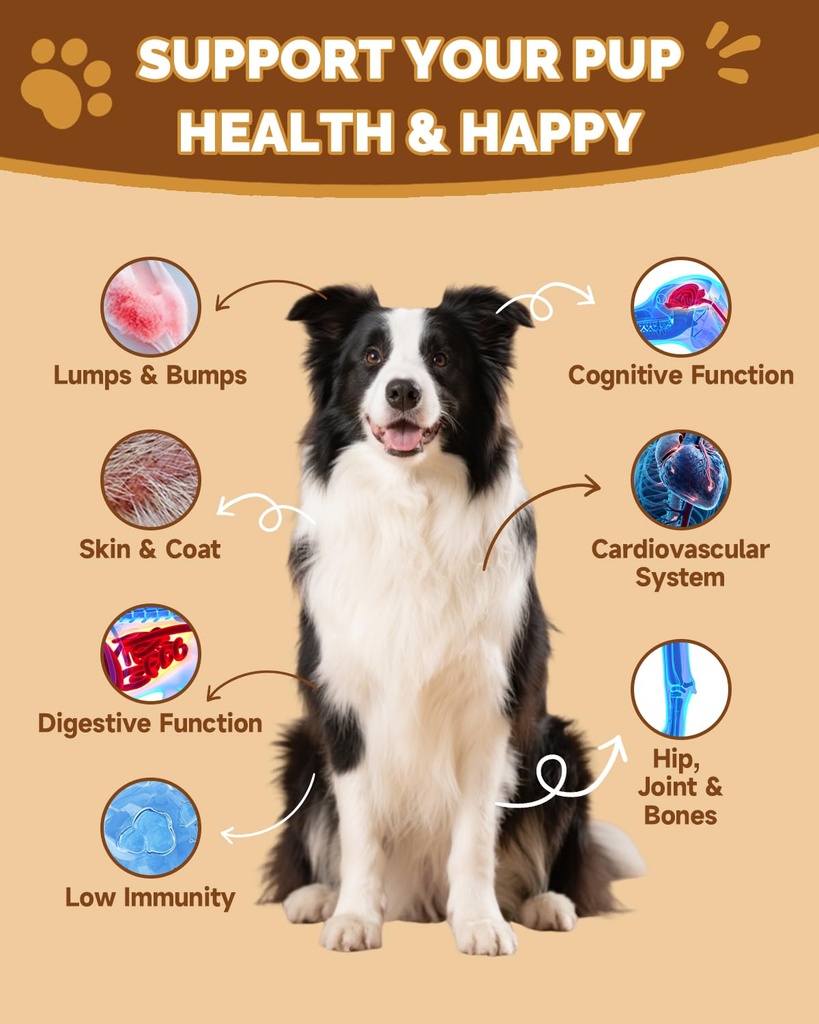 turkey-tail-for-dogs-9-organic-mushroom--3.jpg
