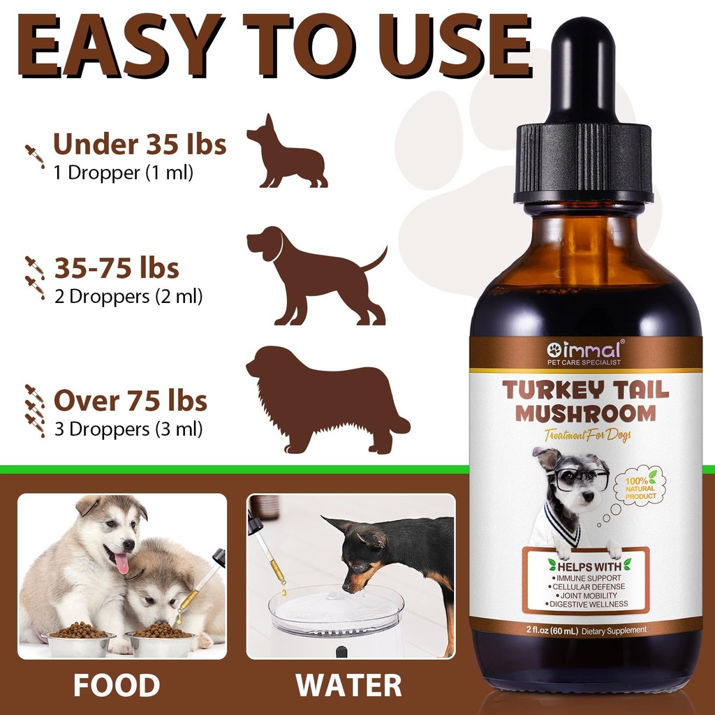 turkey-tail-mushroom-for-dogs-mushroom-b-5.jpg