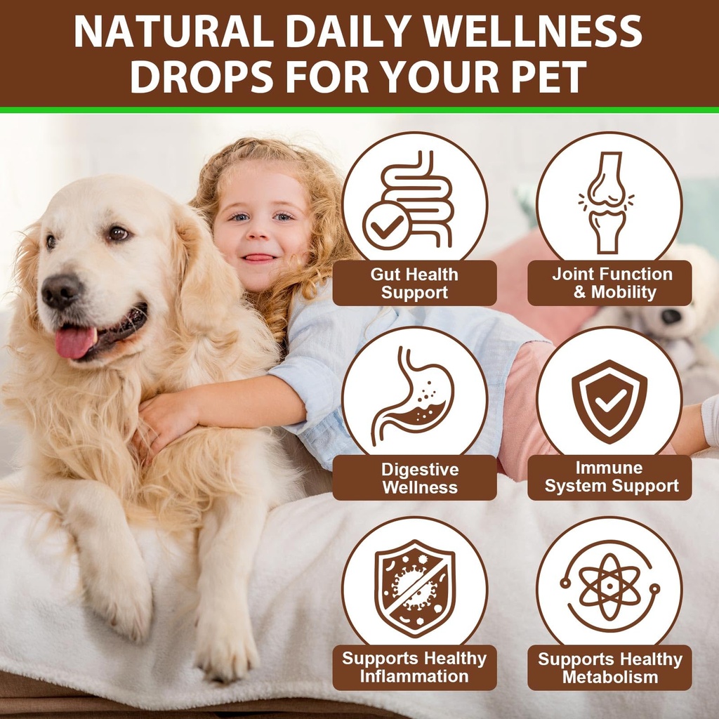 turkey-tail-mushroom-for-dogs-mushroom-b-2.jpg
