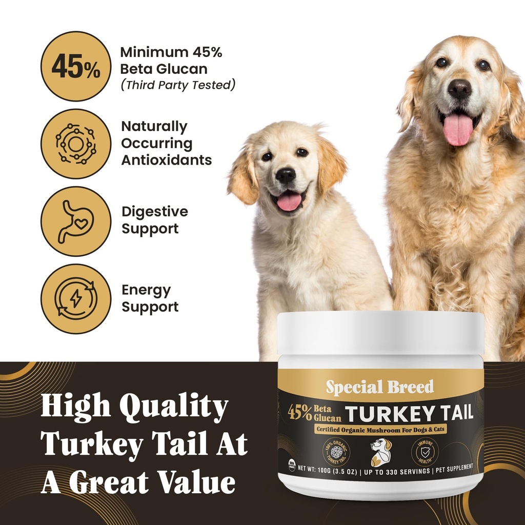 organic-turkey-tail-mushroom-for-dogs-an-2.jpg