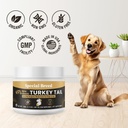organic-turkey-tail-mushroom-for-dogs-an-5.jpg