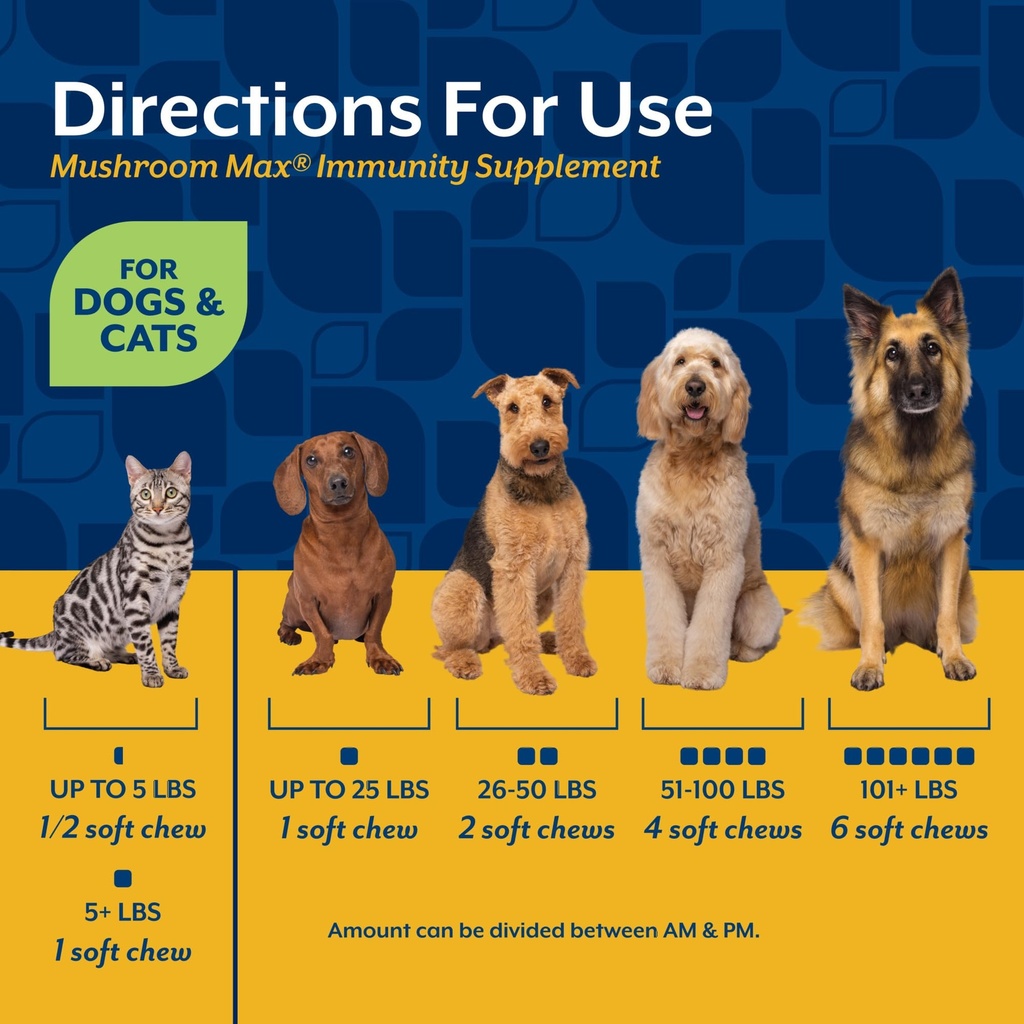 naturvet-mushroom-max-advanced-immune-su-6.jpg