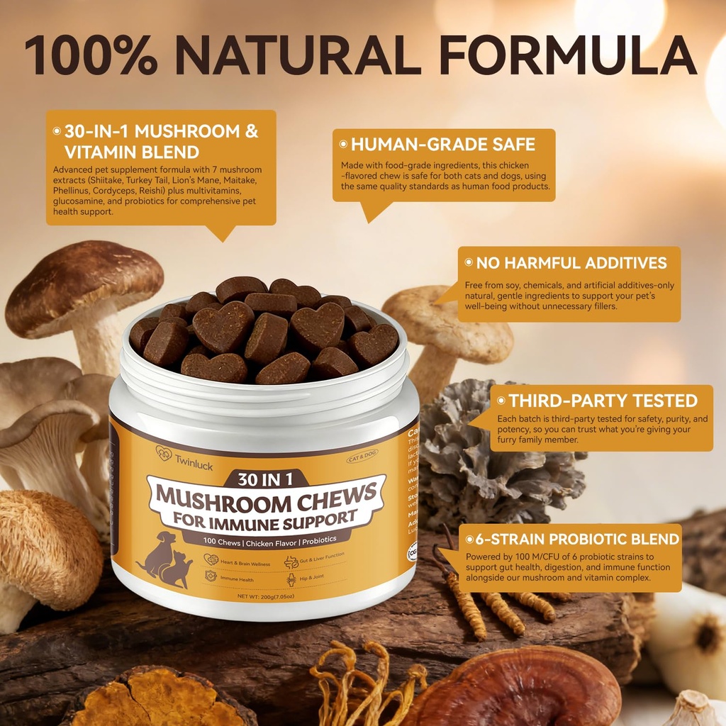 turkey-tail-mushroom-chews-for-dogs-cats-2.jpg