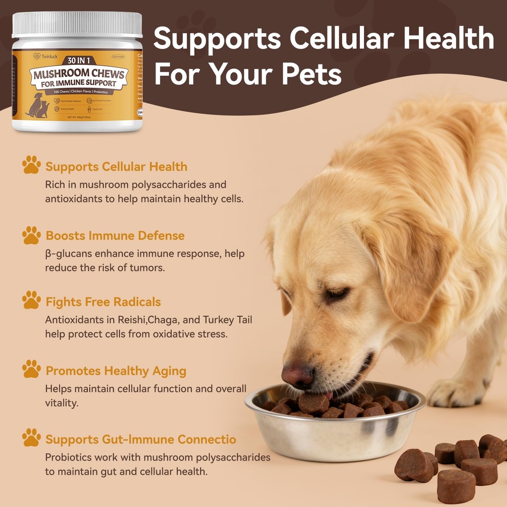 turkey-tail-mushroom-chews-for-dogs-cats-5.jpg