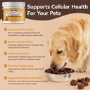 turkey-tail-mushroom-chews-for-dogs-cats-5.jpg