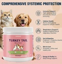organic-turkey-tail-mushroom-for-dogs-ca-3.jpg