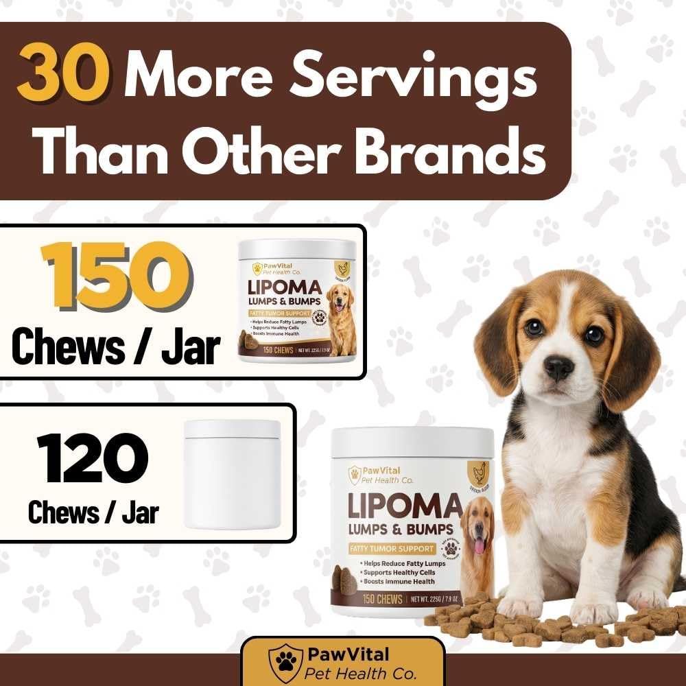 lipoma-treatment-for-dogs-lumps-bumps-su-4.jpg