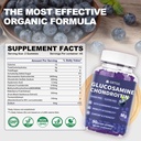 glucosamine-chondroitin-gummies-with-msm-2.jpg