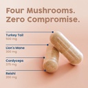 nativepath-mushroom-complex-and-organic--3.jpg