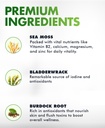 sea-moss-gummies-with-bladderwrack-burdo-3.jpg
