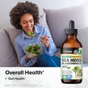 bio-krauter-2-in-1-sea-moss-seaweed-supp-2.jpg
