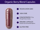 koyah-organic-berry-blend-capsules-freez-4.jpg