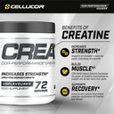cellucor-pre-workout-creatine-bundle-c4--4.jpg