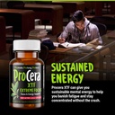 procera-xtf-perfect-study-aid-immediate--6.jpg