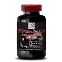 nature-inspired-energy-tribulus-terrestr-2.jpg