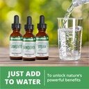 nutramedix-stevia-bioavailable-liquid-st-6.jpg
