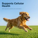 dog-wart-remover-lipoma-treatment-for-do-6.jpg