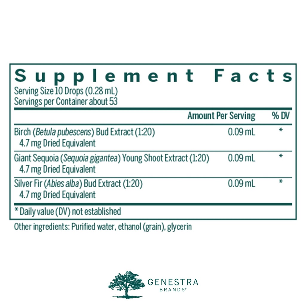 genestra-brands-bn-gen-white-birch-giant-2.jpg