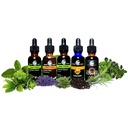 cedar-bear-herbal-minerals-for-kids-a-li-6.jpg