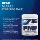 gat-sport-pmp-peak-muscle-performance-pr-2.jpg
