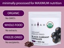 koyah-organic-black-currant-capsules-fre-5.jpg