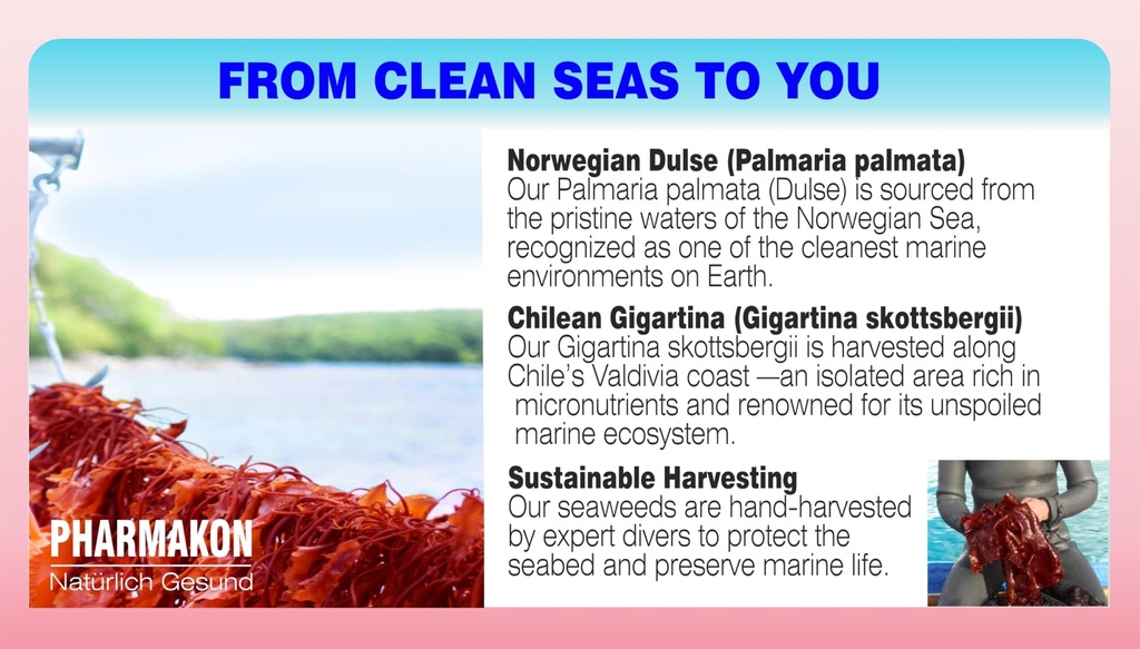 pharmakon-fermented-red-marine-algae-com-3.jpg