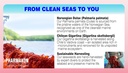 pharmakon-fermented-red-marine-algae-com-3.jpg