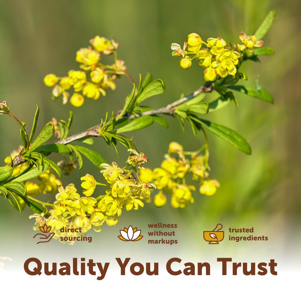 micro-ingredients-berberine-1000mg-with--5.jpg