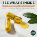 berberine-hcl-800mg-97-pure-dual-extract-3.jpg
