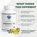 berberine-hcl-800mg-97-pure-dual-extract-4.jpg