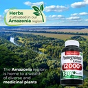 fito-medic-s-lab-pomegranate-extract-sup-6.jpg