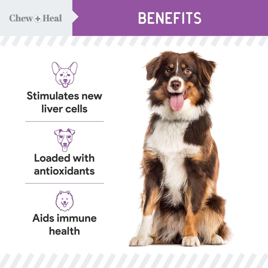 milk-thistle-for-dogs-liver-support-4-oz-3.jpg