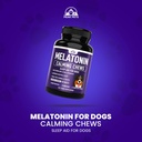 melatonin-for-dogs-to-sleep-6mg-dog-slee-4.jpg