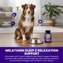 melatonin-for-dogs-to-sleep-6mg-dog-slee-6.jpg