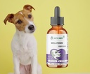 melatonin-for-dogs-natural-well-being-su-2.jpg