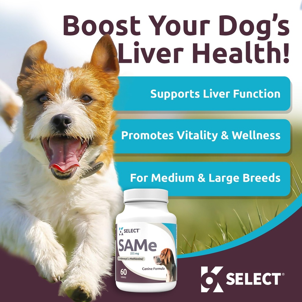 k9-select-sam-e-for-dogs-225mg-60-tablet-2.jpg