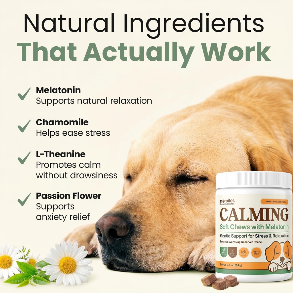 calming-soft-chews-for-dogs-with-melaton-4.jpg