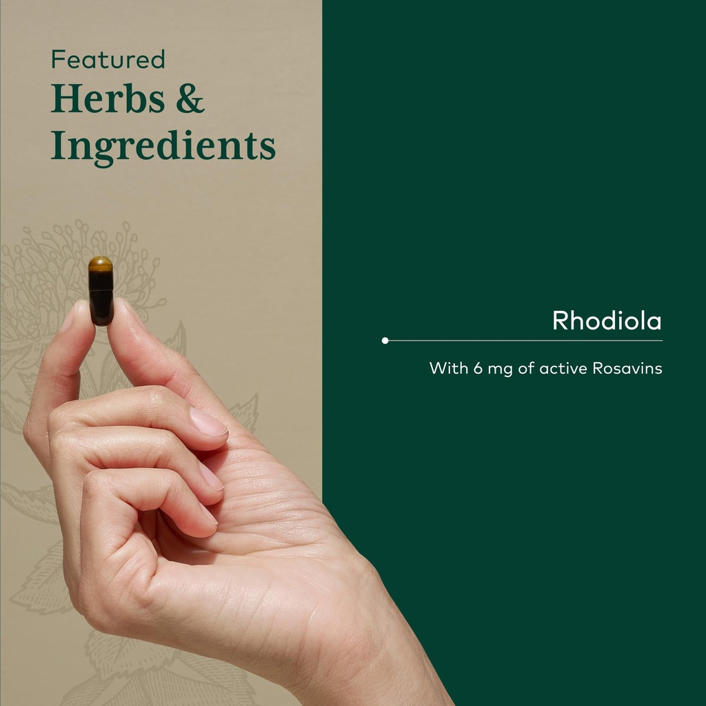 gaia-herbs-pro-rhodiola-energy-support-s-4.jpg