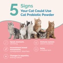 pranapets-cat-probiotic-powder-digestive-2.jpg
