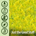 nature-s-answer-bupleurum-root-bupleurum-5.jpg