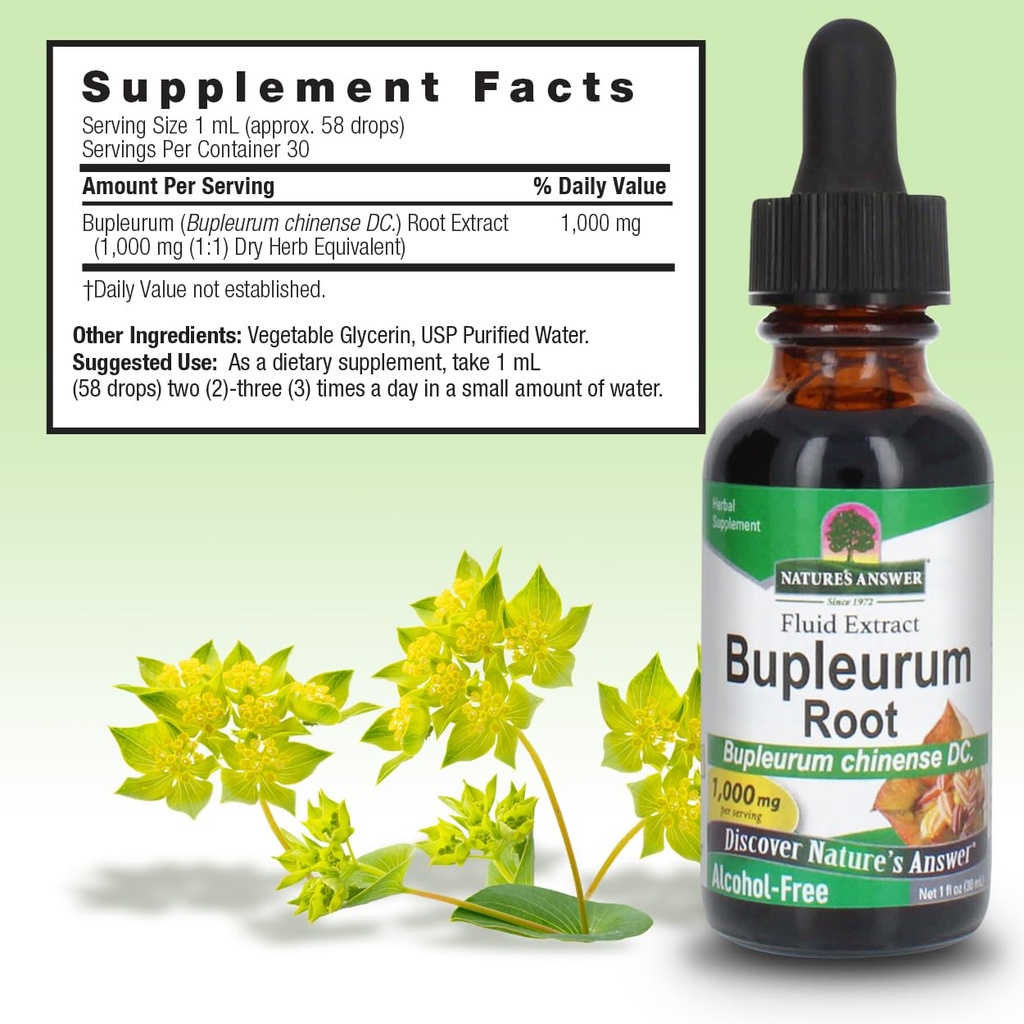 nature-s-answer-bupleurum-root-bupleurum-3.jpg