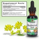 nature-s-answer-bupleurum-root-bupleurum-3.jpg