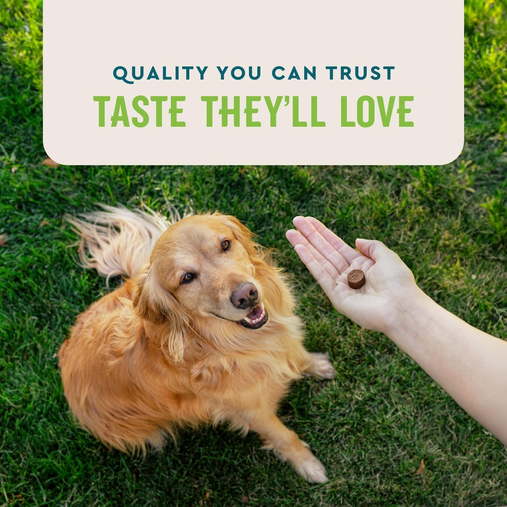 vetiq-probiotic-supplement-for-dogs-dige-5.jpg