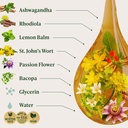 herbamama-mood-support-supplement-vegan--4.jpg