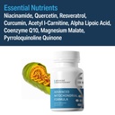 advanced-bionutritionals-advanced-mitoch-4.jpg