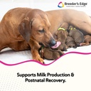 breeder-s-edge-oral-cal-plus-powder-calc-2.jpg