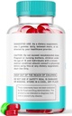 rize-labs-1-pack-super-slim-keto-gummy-b-3.jpg