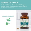 himalaya-organic-guduchi-for-active-immu-6.jpg