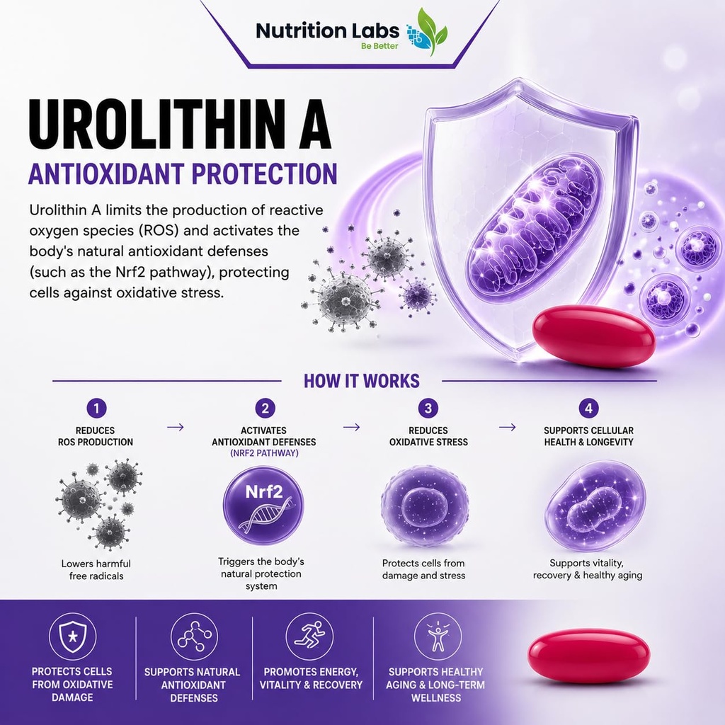 urolithin-a-500-mg-supplement-with-advan-4.jpg