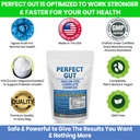 kidney-restore-perfect-gut-inulin-fos-po-2.jpg